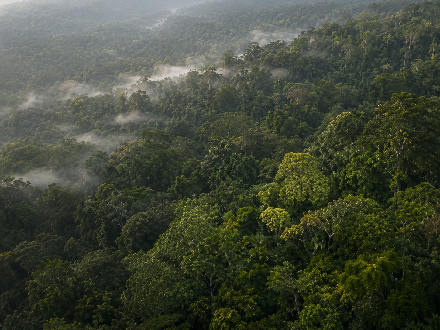 Biodiversity conservation
