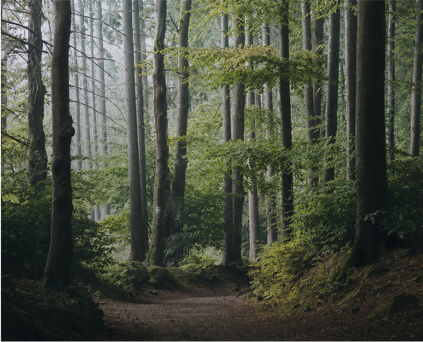 Microclimate ecology